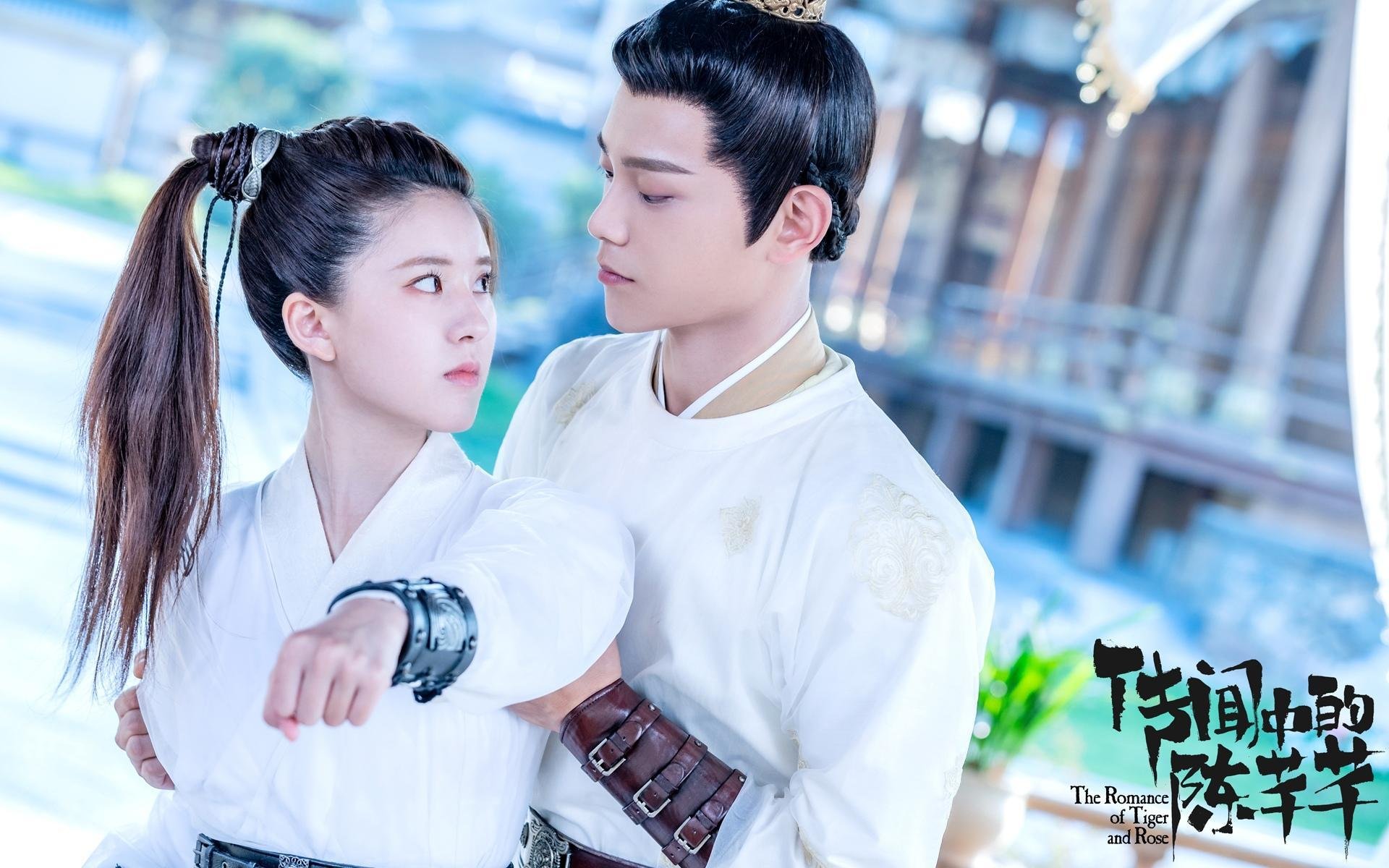 家庭用小型挖掘机（小挖机工家用挖土）